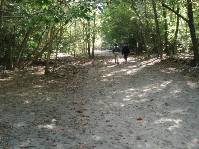 f0132565_1028845.jpg