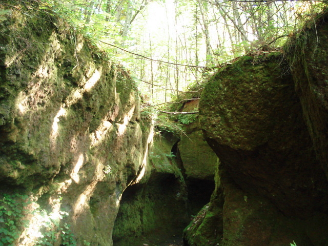f0132565_10364936.jpg
