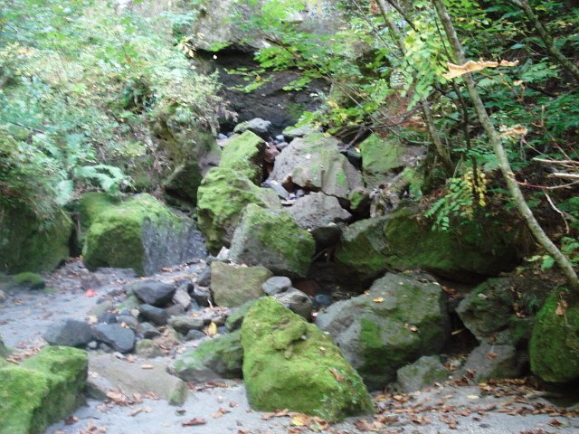 f0132565_10374666.jpg