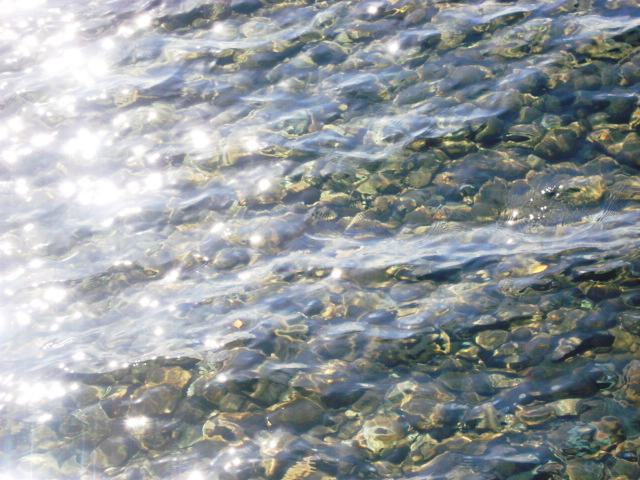 f0132565_1044751.jpg