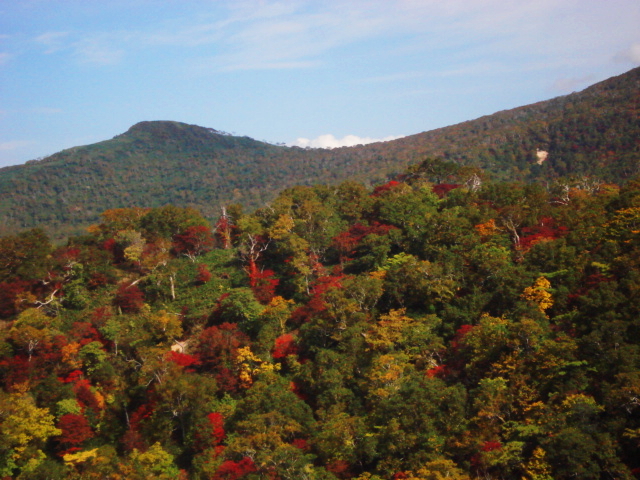 f0132565_10492065.jpg