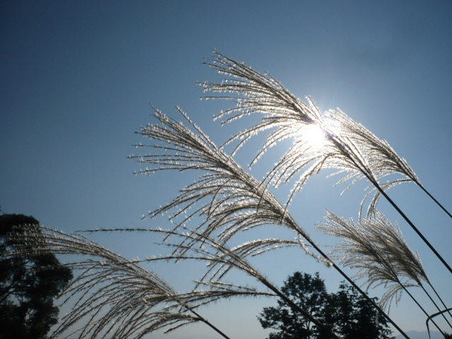 f0050468_24147.jpg