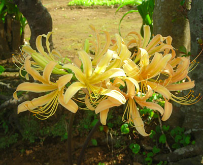 e0097770_22283999.jpg