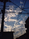 e0081772_11394465.jpg
