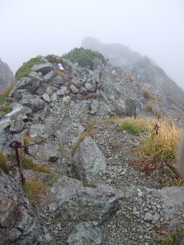 a0094280_2128532.jpg