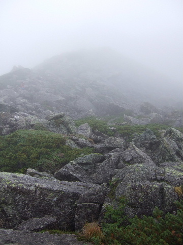 a0094280_2129196.jpg