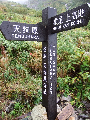a0094280_2131493.jpg