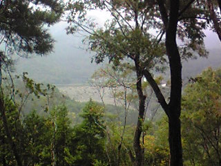 b0050787_8101479.jpg
