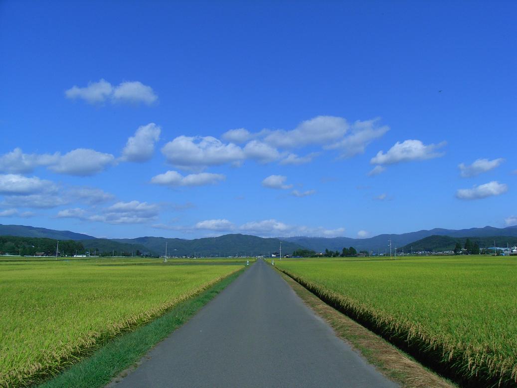 遠野訪問紀　～遠野のとある風景２～_c0108388_20441852.jpg