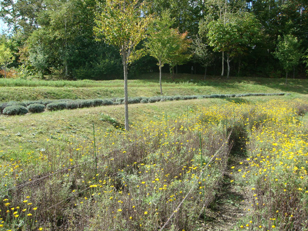 f0146493_1073219.jpg