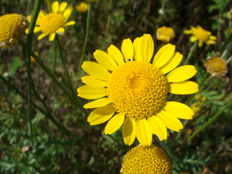 f0146493_107493.jpg