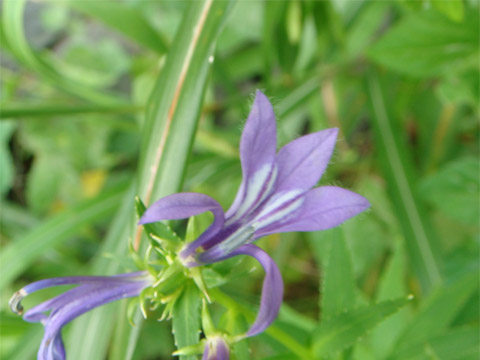 f0146493_9453560.jpg
