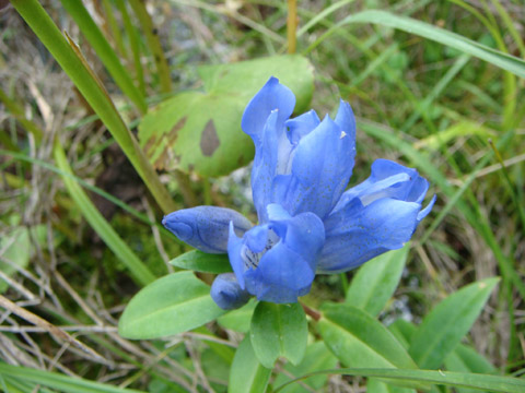 f0146493_946576.jpg