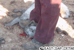 e0066698_1574610.gif
