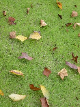 c0134408_11341511.jpg