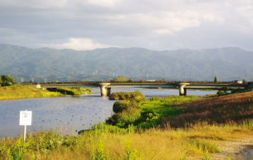 d0001008_917177.jpg