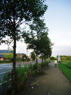 d0001008_932078.jpg