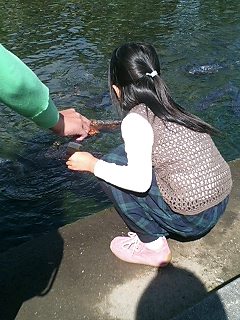 c0117610_19393079.jpg