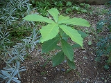 f0150812_13421330.jpg