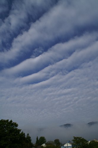 d0109319_62979.jpg