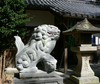 d0092026_17482443.jpg