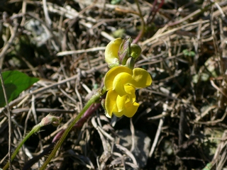 d0092026_20395345.jpg