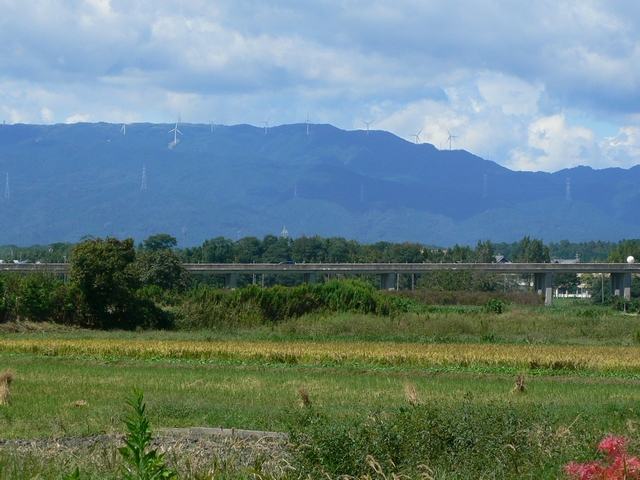 d0092026_21132250.jpg