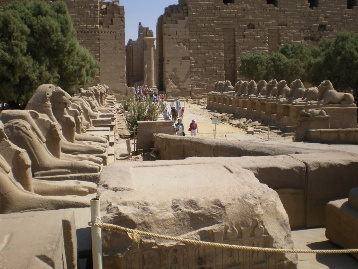 a0085632_2301772.jpg
