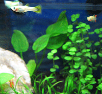 f0047439_0335552.gif