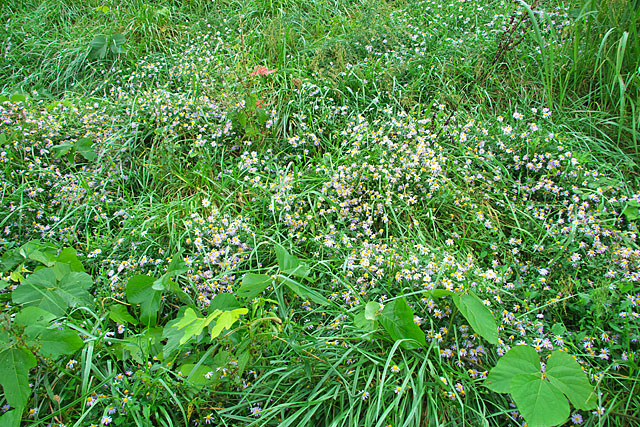c0067040_22192844.jpg