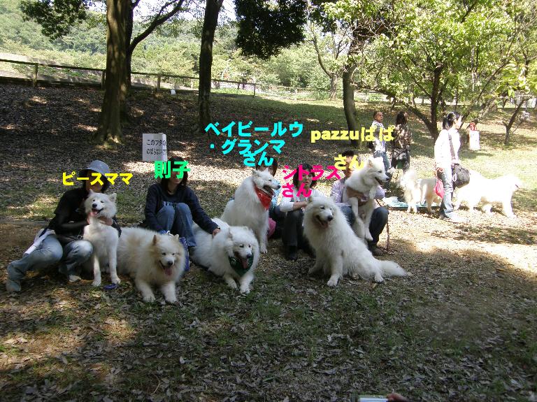 サモオフの記録その2「リアルゆきちゃんと遊ぼう3」_f0128542_1335429.jpg