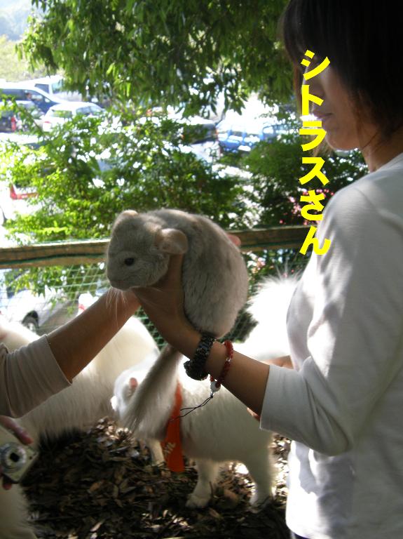 サモオフの記録その2「リアルゆきちゃんと遊ぼう3」_f0128542_1362989.jpg