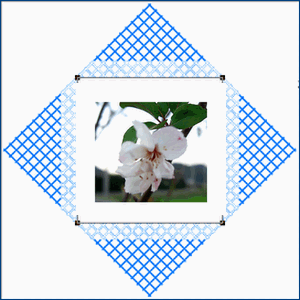 f0031546_17193170.gif