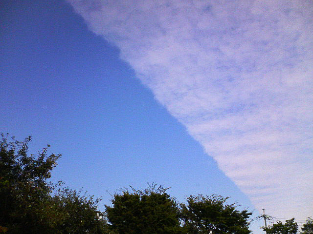 f0048547_1436664.jpg