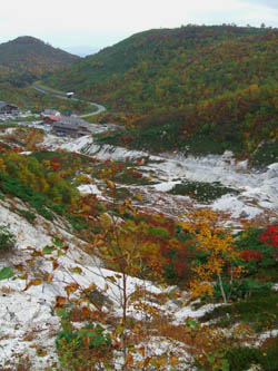 c0097856_0362043.jpg