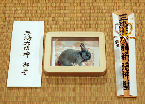 お札を納めに参ります なみふじ日記 お札を納めに参ります なみふじ日記