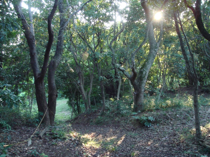 c0108460_18101069.jpg