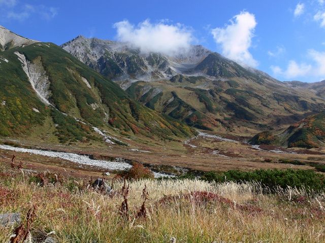d0110562_113507.jpg