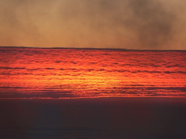 d0110562_11384997.jpg