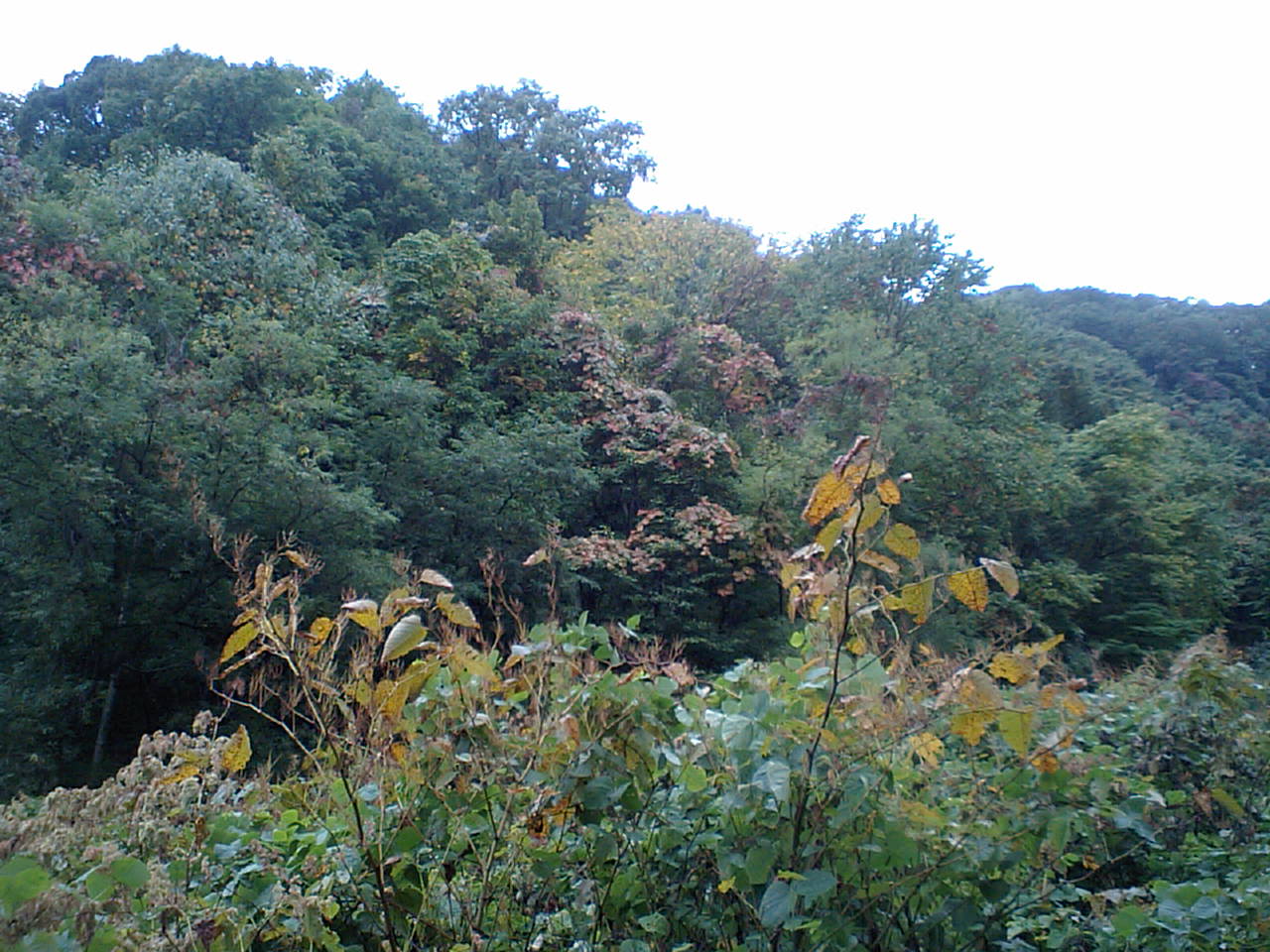 d0098665_16571625.jpg