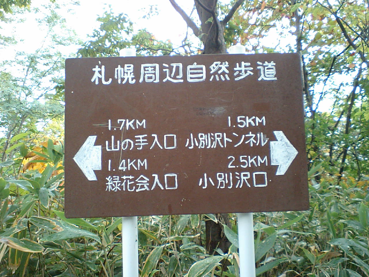 d0098665_16595339.jpg