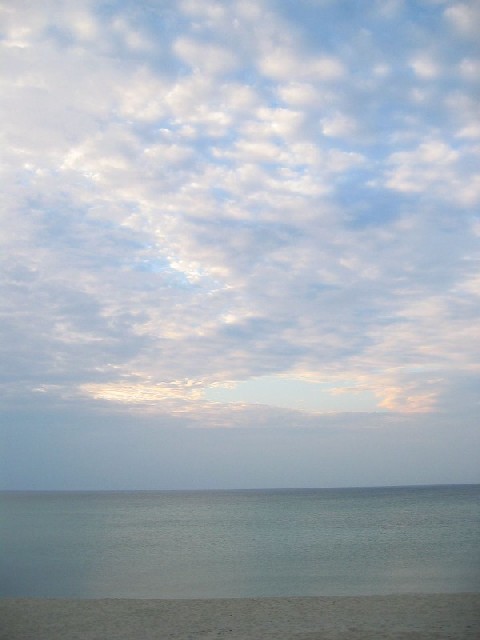 d0123068_1241724.jpg