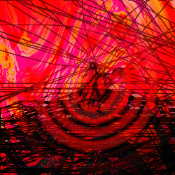 d0084170_15392856.gif