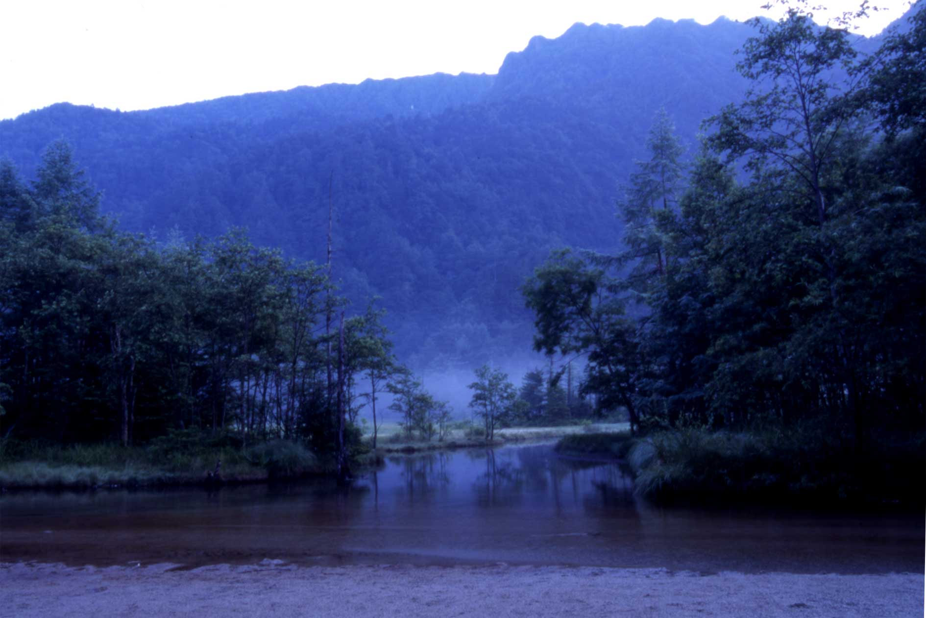 b0057679_8465790.jpg