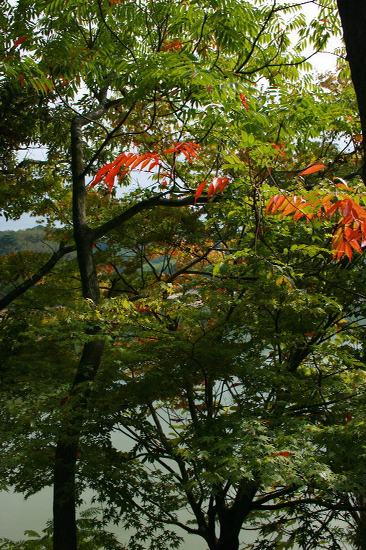 f0093592_23565272.jpg