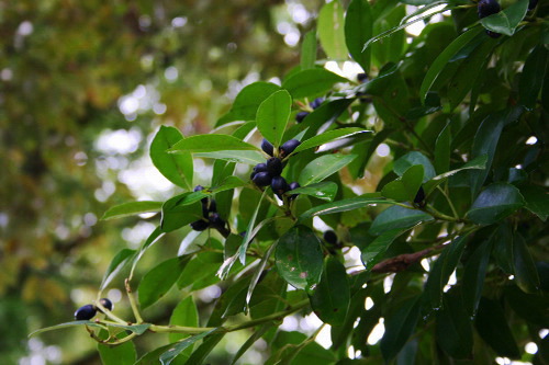 f0093592_23575647.jpg
