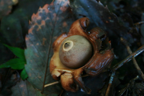 f0093592_23581316.jpg