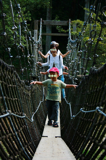f0093592_2358265.jpg