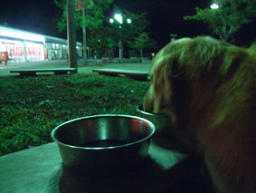 c0096393_15165447.jpg