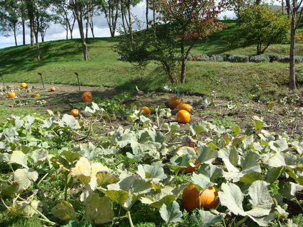 f0146493_1053547.jpg